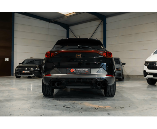 CUPRA Formentor Formentor 2.0 TSI 4Drive VZ DSG L-Cars