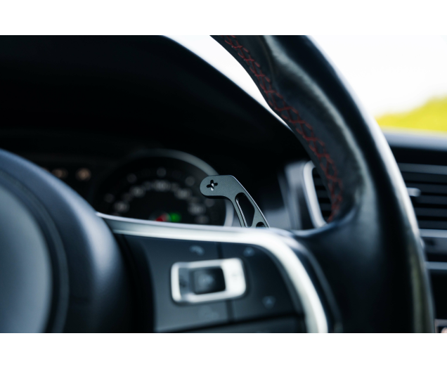 Volkswagen Golf GTI Golf 2.0 TSI Performance DSG L-Cars