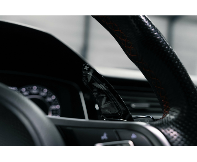 Volkswagen Golf GTI Golf GTI TCR 2.0 TSI OPF DSG L-Cars