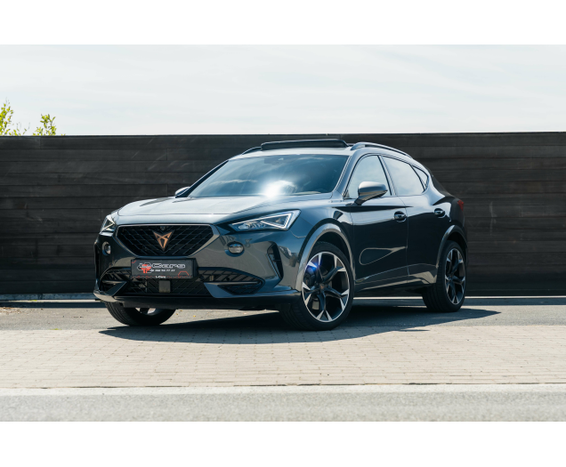 CUPRA Formentor Formentor 2.0 TSI 4Drive VZ DSG L-Cars