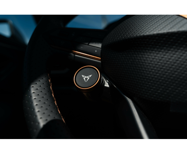 CUPRA Formentor Formentor 2.0 TSI 4Drive VZ DSG L-Cars