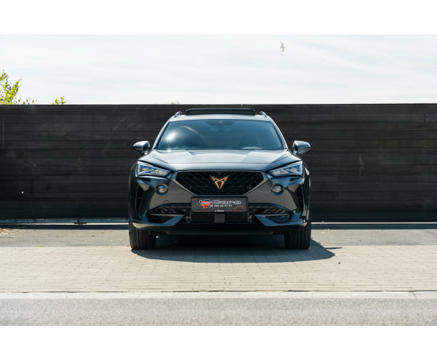 CUPRA Formentor Formentor 2.0 TSI 4Drive VZ DSG L-Cars