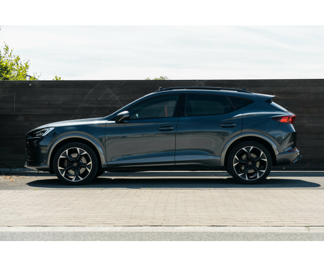CUPRA Formentor Formentor 2.0 TSI 4Drive VZ DSG L-Cars