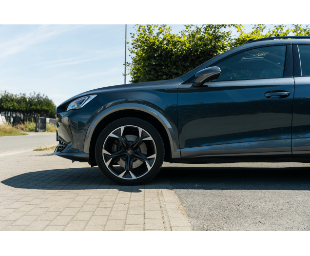 CUPRA Formentor Formentor 2.0 TSI 4Drive VZ DSG L-Cars