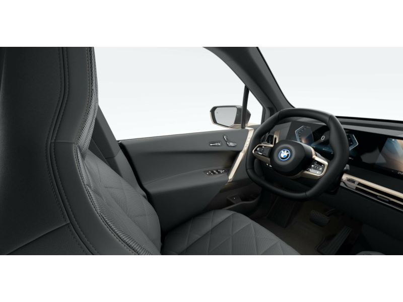 BMW iX xDrive40 M Sport - PANO/TREKHAAK/HK SOUND/LEER Garage Van Den Dooren