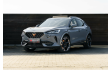 CUPRA Formentor 2.0 TSI 4Drive VZ DSG Sabelt bucket/Beats/Pano L-Cars