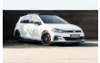 Volkswagen Golf GTI Golf GTI TCR 2.0 TSI OPF DSG L-Cars