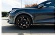 CUPRA Formentor Formentor 2.0 TSI 4Drive VZ DSG L-Cars