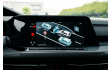 Volkswagen Golf GTI Golf 2.0 TSI GTI OPF DSG H&K/Pano/IQ light L-Cars