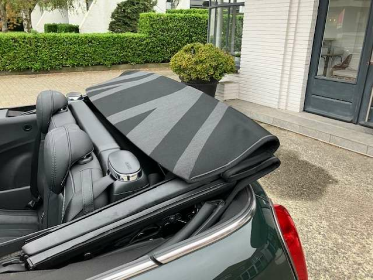 MINI Cooper Cabrio Cabriolet AUT/RESOLUTE EDITION/LEDER/17