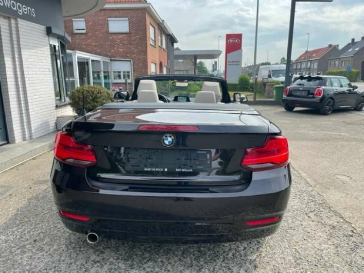 BMW 218 2 CABRIO AUT/LEDER/NAVI/PDC Geert De Bock