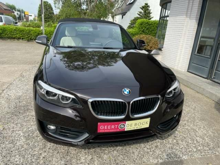 BMW 218 2 CABRIO AUT/LEDER/NAVI/PDC Geert De Bock