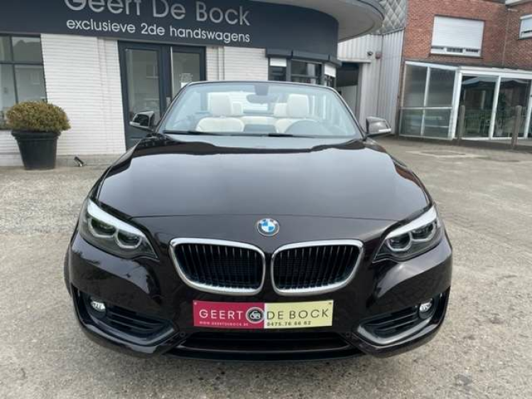BMW 218 2 CABRIO  AUT/LEDER/NAVI/PDC Geert De Bock
