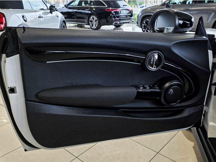 MINI Cooper S Cabrio HUD/Camera/Harman Kardon/Garantie DVX Cars